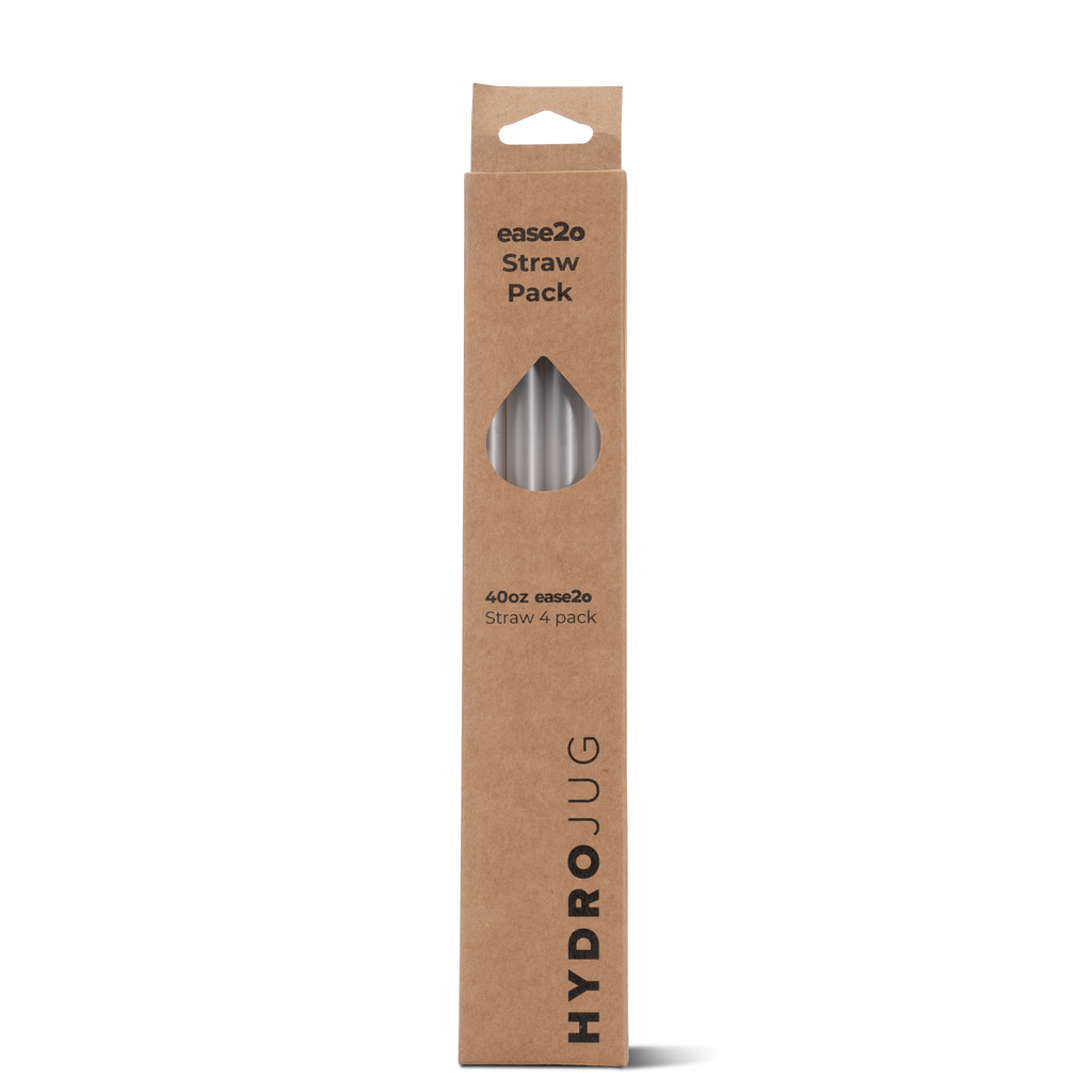 Ease2o Straws 4 Pack 40oz Daily HY666-216