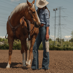 Rodeo Prime HY666-081